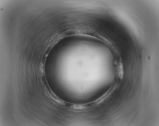 X0000085000766200703191050