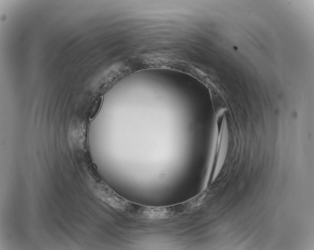 X0000085000767200703191050