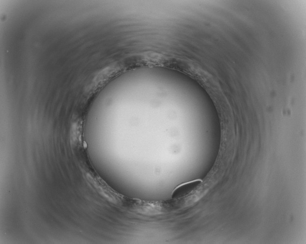 X0000085000768200703191050