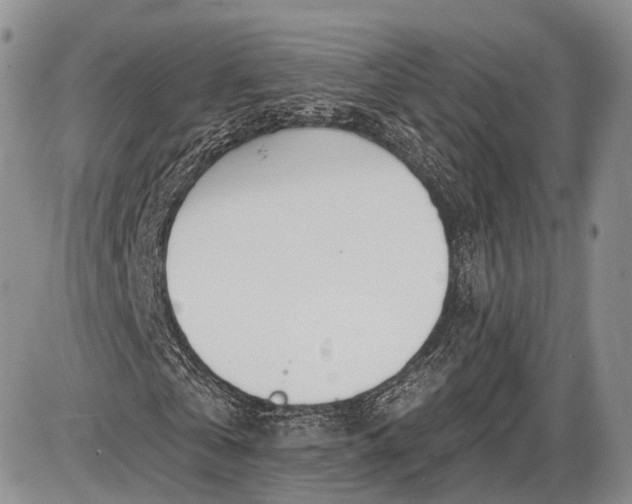 X0000085000769200703191049