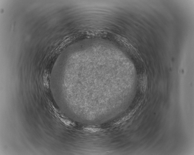 X0000085000770200703191049