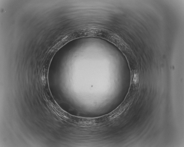 X0000085000771200703191049