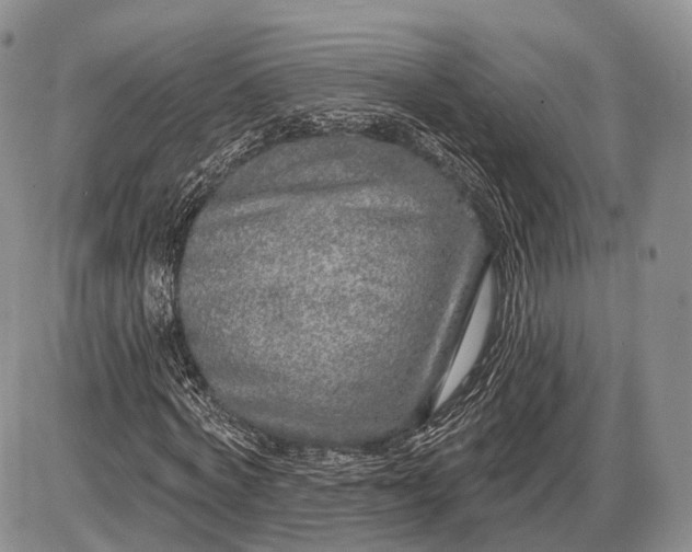 X0000085000772200703191049