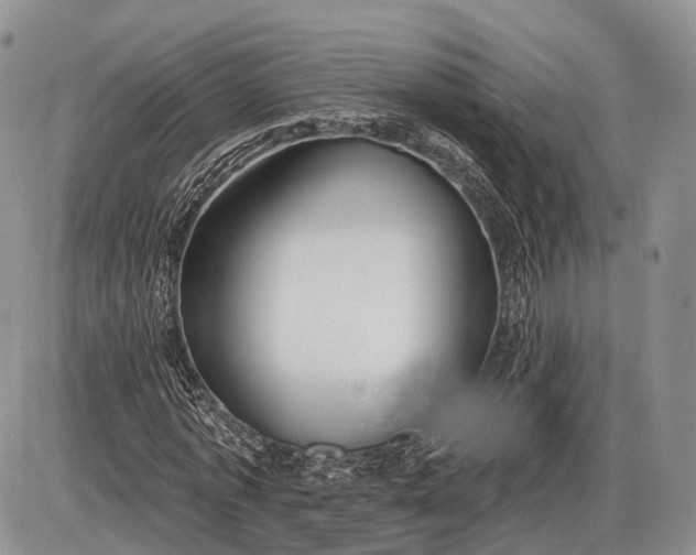 X0000085000773200703191049