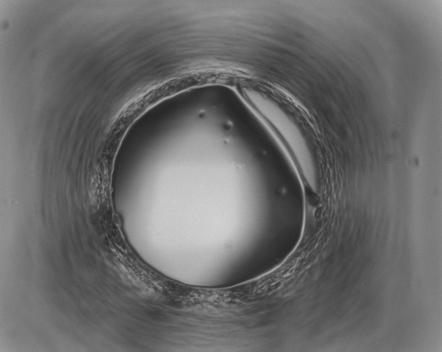 X0000085000775200703191049