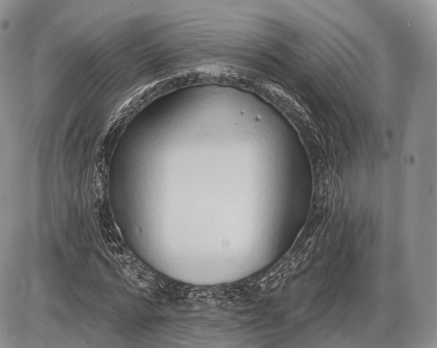 X0000085000776200703191049