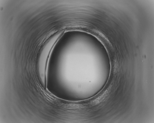 X0000085000777200703191049