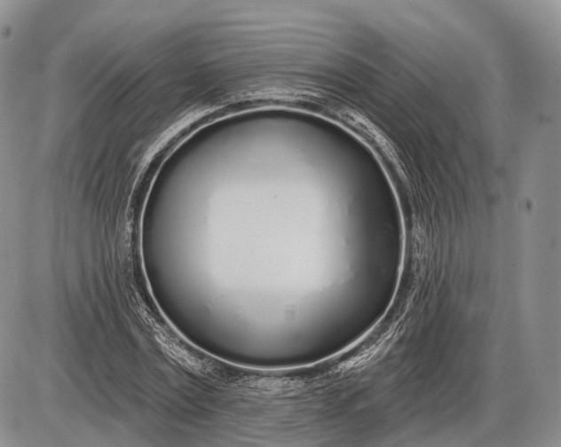 X0000085000779200703191049