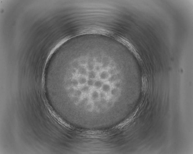 X0000085000780200703191049