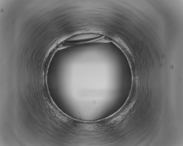 X0000085000781200703191049