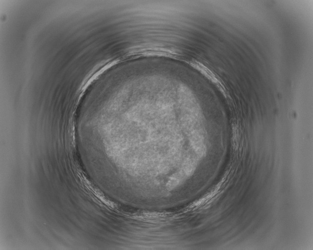 X0000085000782200703191049