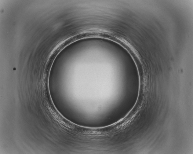 X0000085000783200703191049