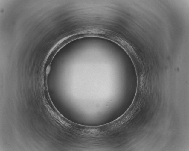 X0000085000784200703191049