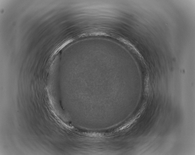 X0000085000785200703191049