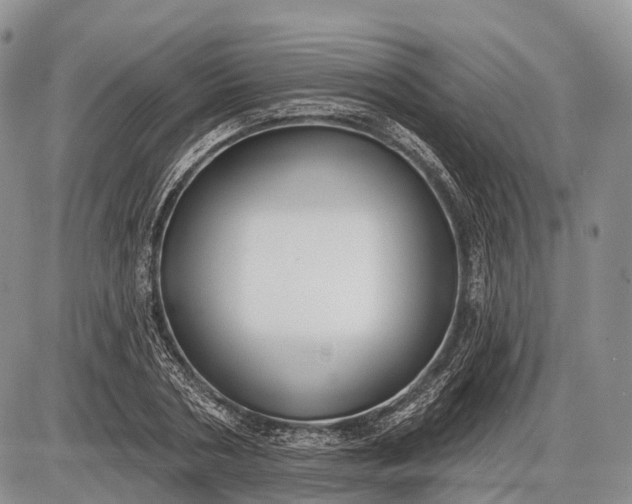 X0000085000786200703191049