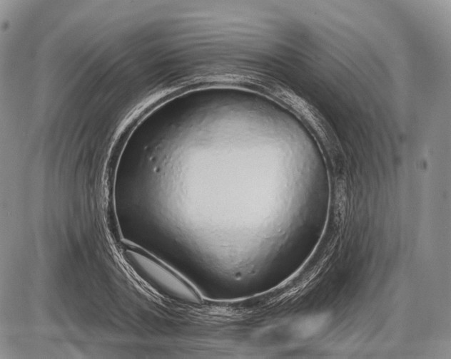 X0000085000787200703191049