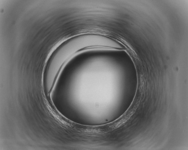 X0000085000788200703191049