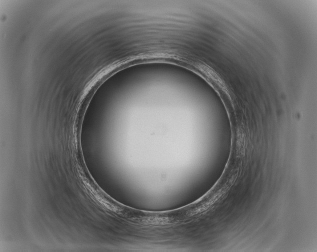 X0000085000789200703191048