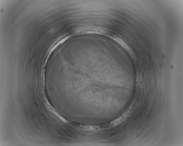 X0000085000790200703191048