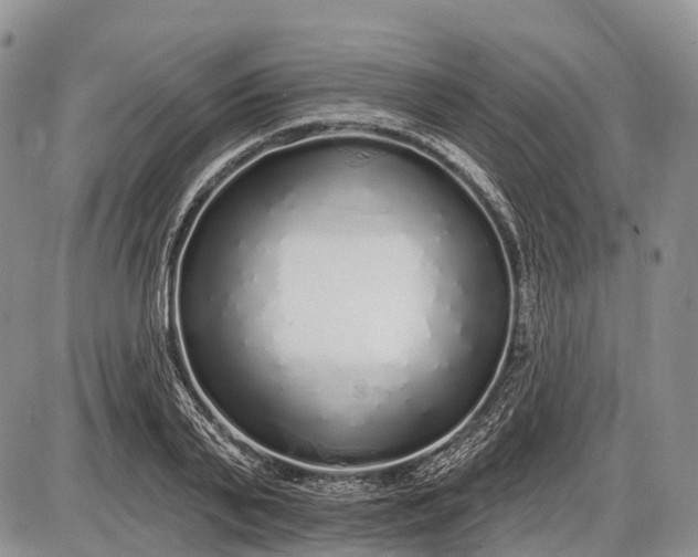 X0000085000791200703191048