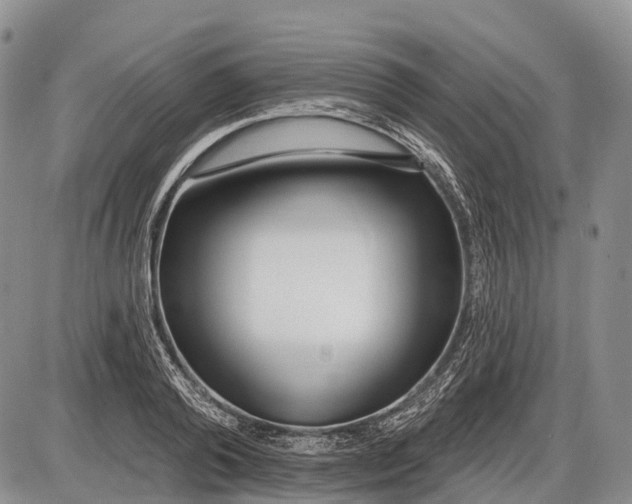 X0000085000792200703191048