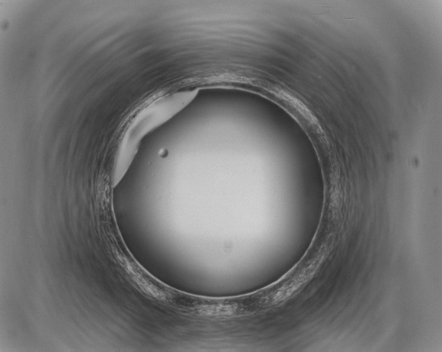 X0000085000793200703191048