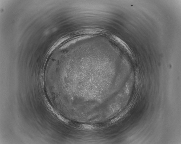 X0000085000794200703191048