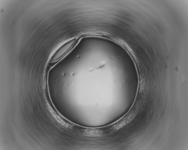 X0000085000795200703191048