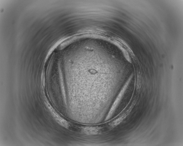 X0000085000796200703191048