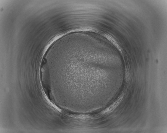 X0000085000797200703191048