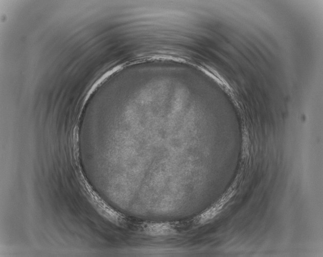 X0000085000798200703191048