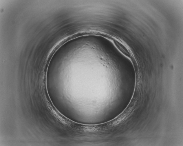 X0000085000799200703191048