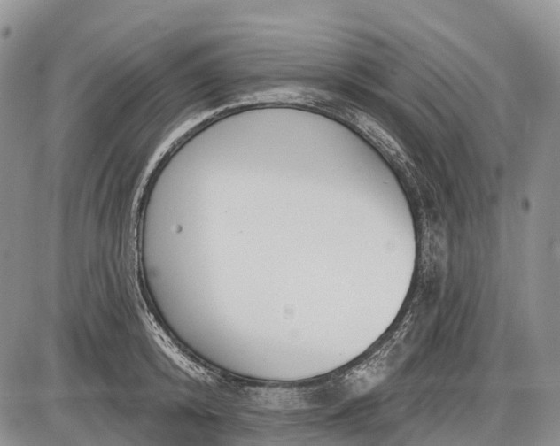 X0000085000800200703191048