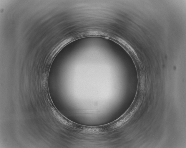 X0000085000801200703191048