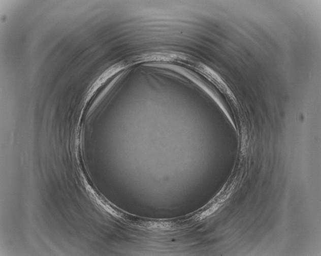 X0000085000802200703191048