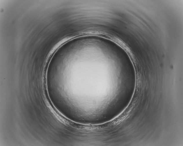 X0000085000803200703191048