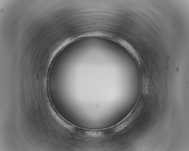 X0000085000805200703191048