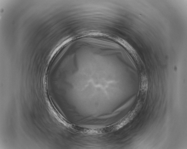 X0000085000806200703191048