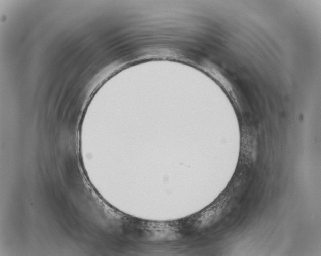 X0000085000807200703191048