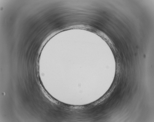 X0000085000808200703191048