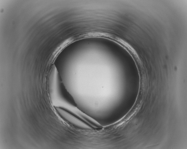 X0000085000809200703191048