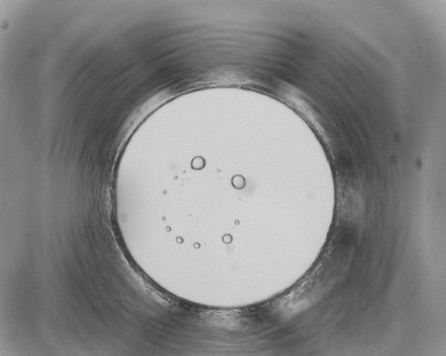 X0000085000810200703191048