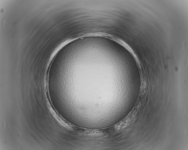 X0000085000811200703191048