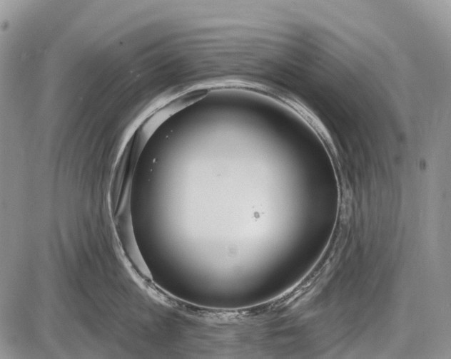 X0000085000813200703191048