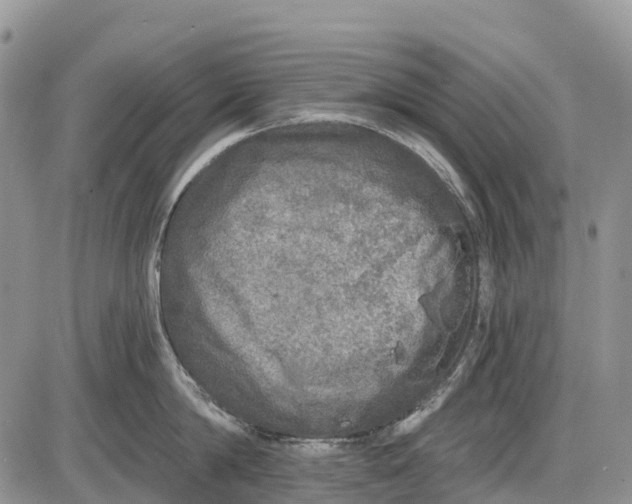 X0000085000814200703191048