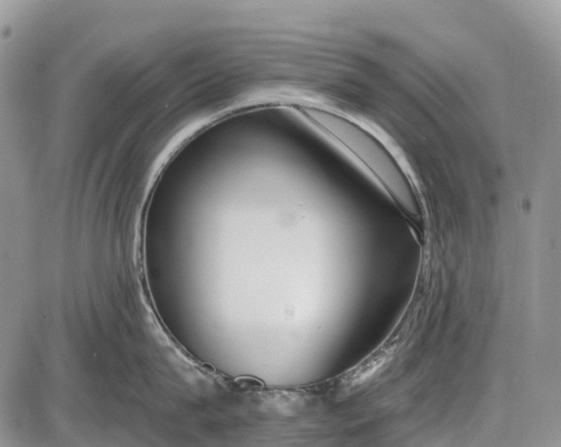 X0000085000815200703191048