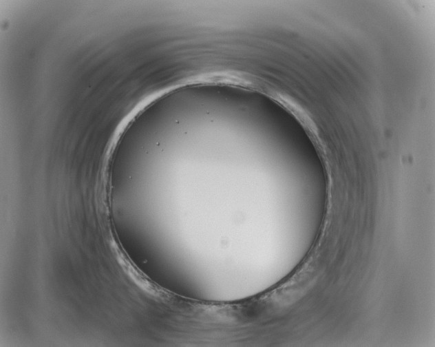 X0000085000816200703191048