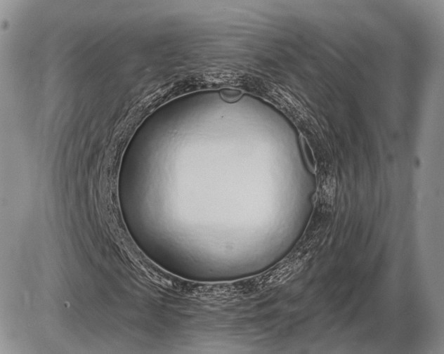 X0000085000817200703191047