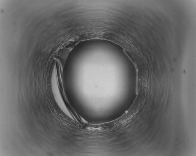 X0000085000818200703191047