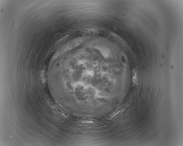 X0000085000819200703191047